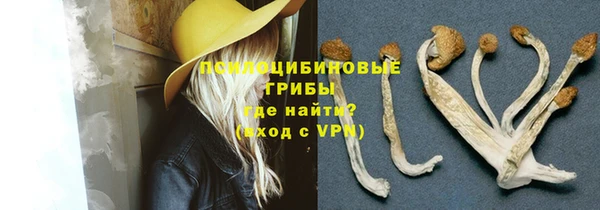 а пвп мука Аркадак