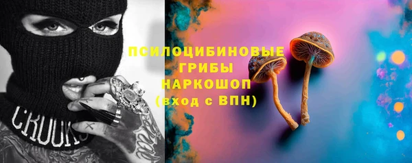 дурь Арсеньев