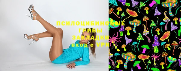 прущая мука Пересвет