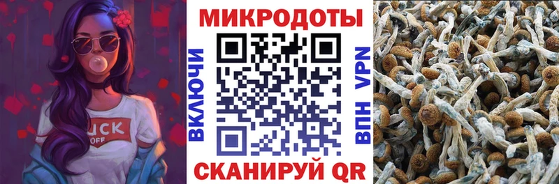 Псилоцибиновые грибы мухоморы  Бологое 