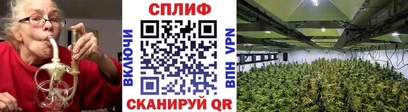 Конопля планчик  Бологое 